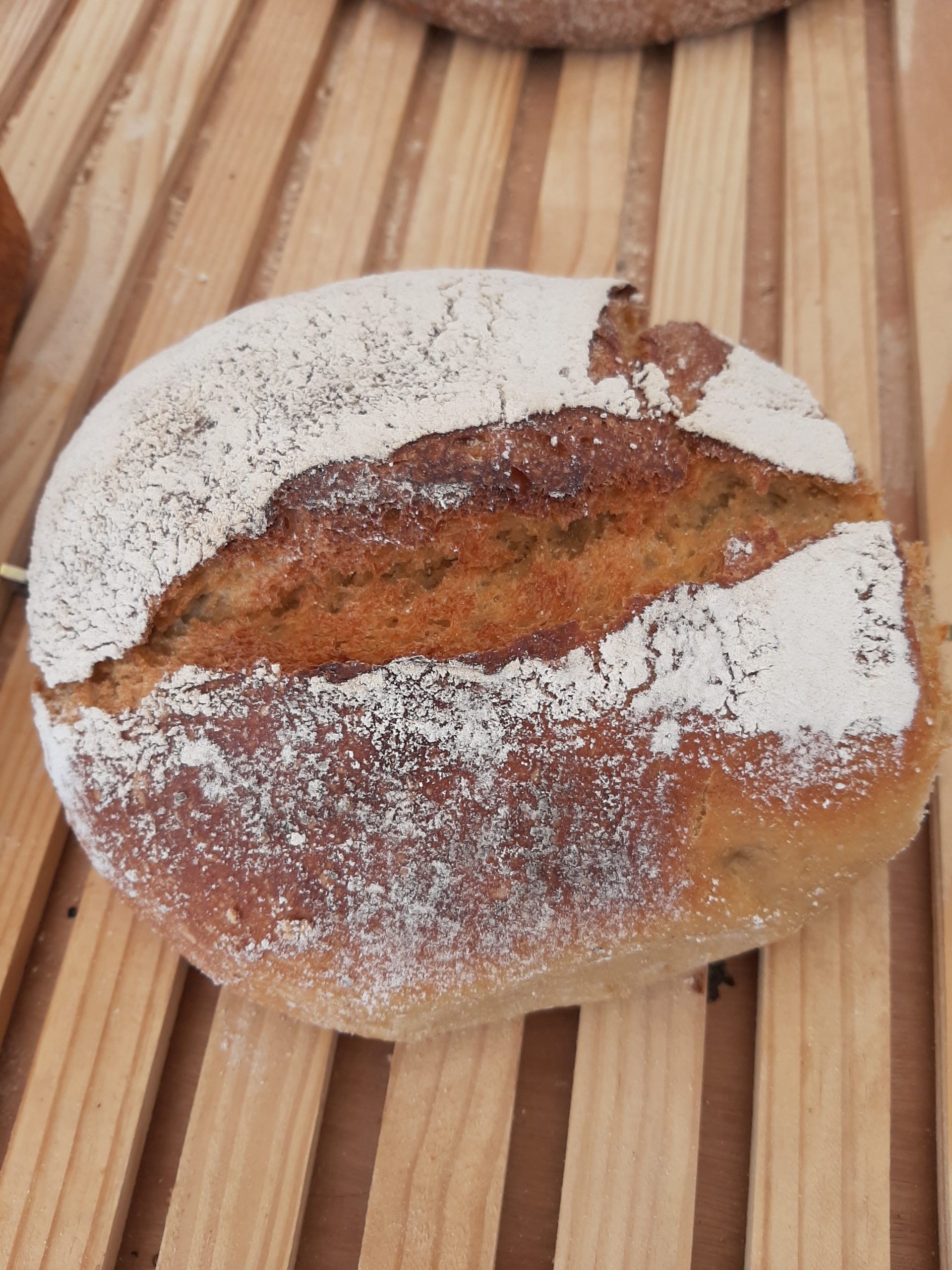 You are currently viewing Choisir le bon pain, la clé d’une alimentation équilibrée !