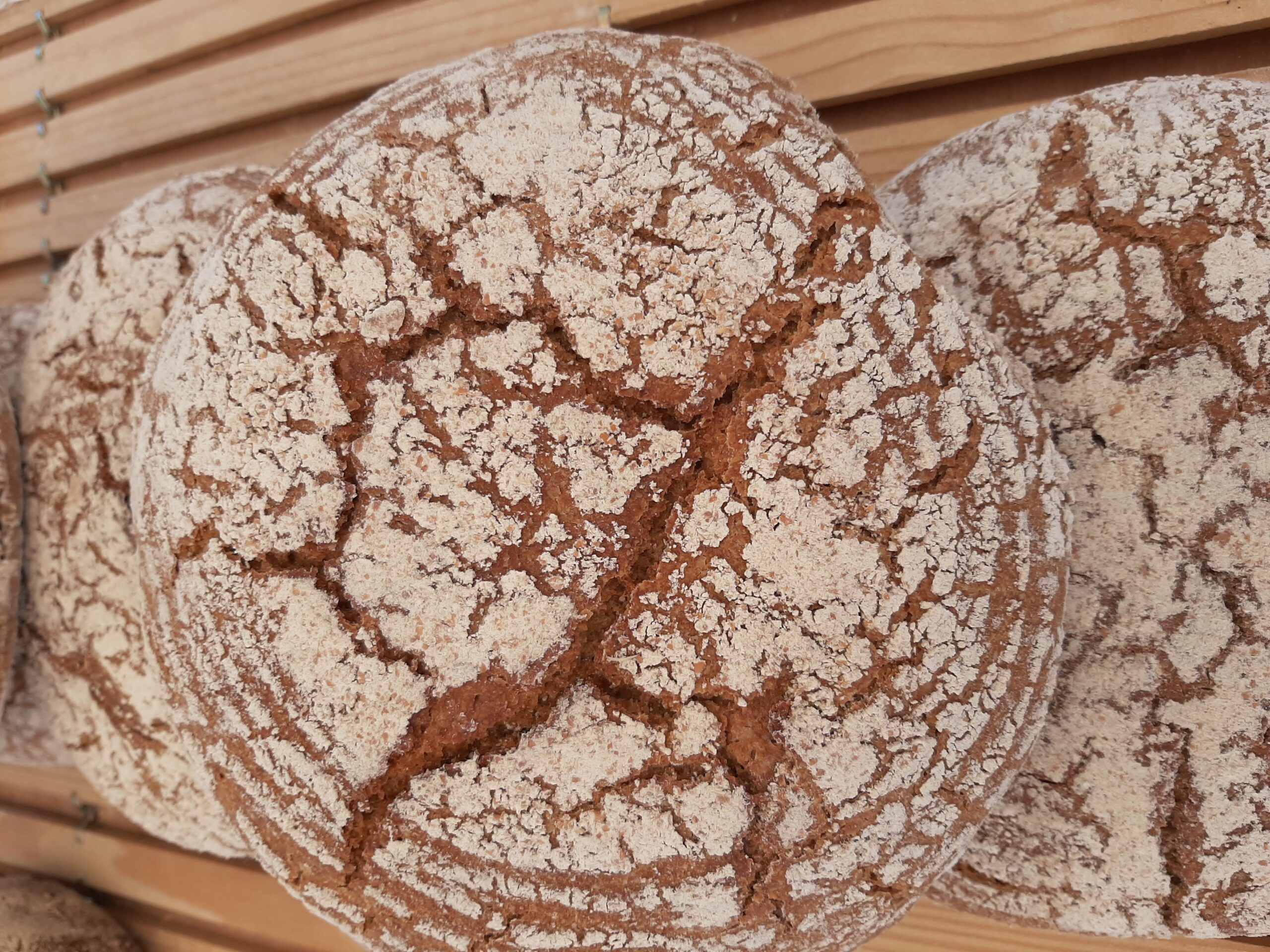 Lire la suite à propos de l’article Atelier sante le pain au levain, le pain sans gluten le vendredi 29 mars a 14h