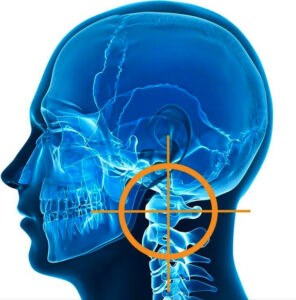 Lire la suite à propos de l’article L’atlas – une vertèbre particulière : conférence par Stéphane Lopez
