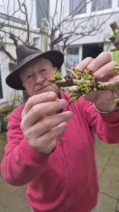 Lire la suite à propos de l’article « Rester Jeune : Le Secret des Plantes pour la Longévité »