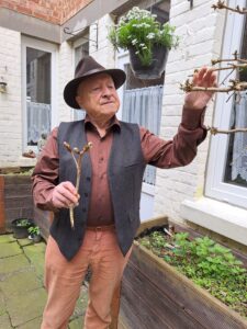 Lire la suite à propos de l’article Résumé de la diète et du protocole anti-Alzheimer
